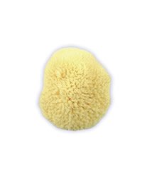 Caribbean Silk Sea Sponge