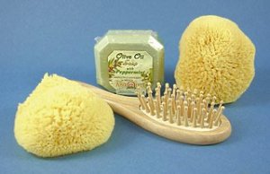 Caribbean Silk Sea Sponge with hairbrush and soap