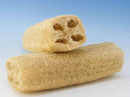 South Korean Loofah aka Susemi Oi