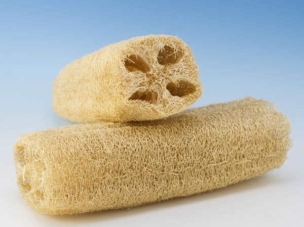 Mayan Loofah