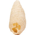 whole-reconstituted