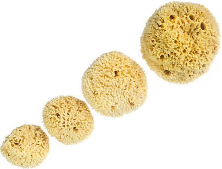 Wool Sea Sponge - Whole Uncut Form - Regular & Rock Island